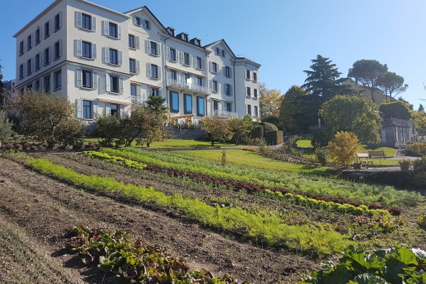 Hostellerie Bon Rivage (La Tour-de-Peilz)